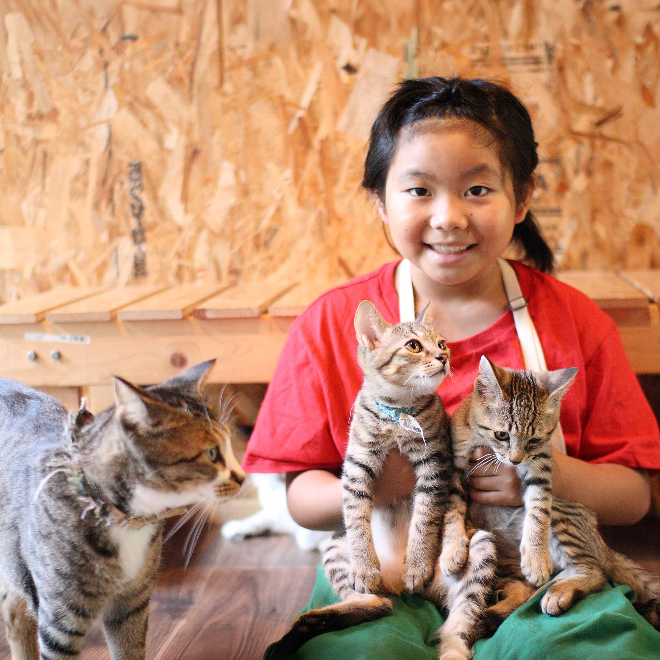 猫庭の子供スタッフと保護された子猫たち・山口県